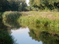 Op het landgoed!