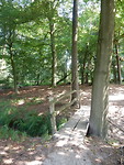 In de bossen!