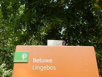 Het Lingebos!