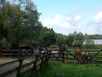 De Hazenputten Ranch!