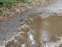 En toen regende het weer!