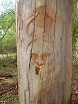 Kunst in het bos!