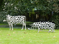 Kunst in de tuin!