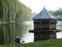 Mooie duiventil in de Singel!