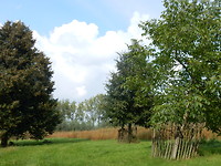 Bij Fort Everdingen!