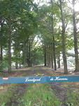 Landgoed De Hoevens!