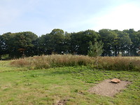 Natuurbegraafplaats De Hoevens!