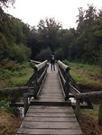 Het bruggetje op het vlonderpad!