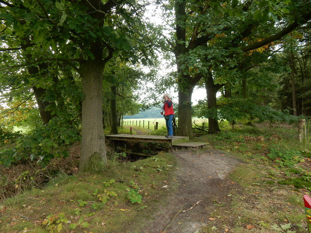 Wandelen!