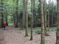 Wandelen!