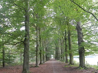 Mooie lanen!