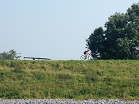 Veel fietsers op de dijk!