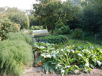 Mooi moestuintje!