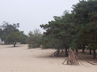 Brabantse Sahara!