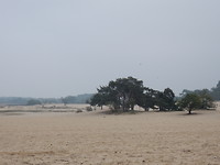 Heel veel zand!