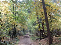 Herfst!