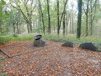 Monument Bosch en Duin!