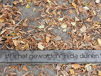 Een regel van het gedicht!