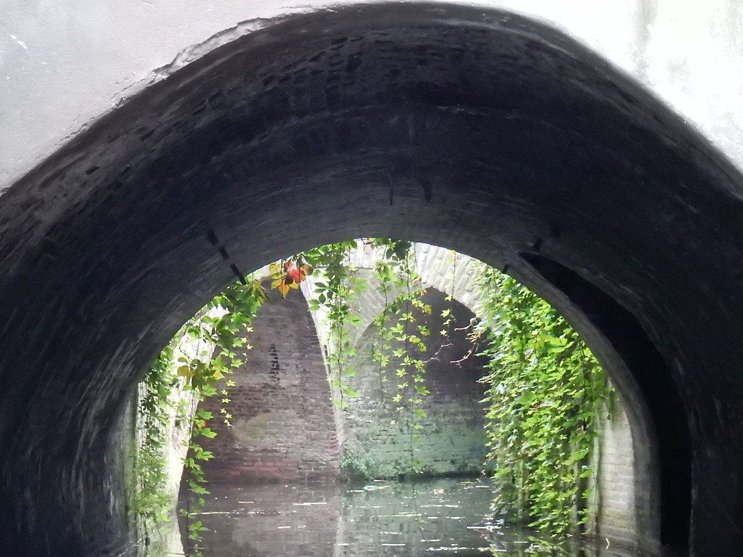 Nog meer tunnels!