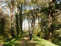 Wandelpad!
