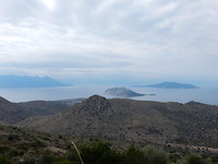 Moni Island!