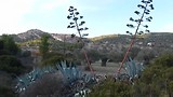 Aegina, het " Lourdes " van Griekenland!