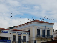 Aeginastad!