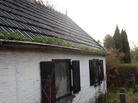 Tuin in de dakgoot!