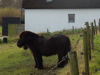Langs de dijk!