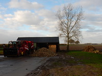 Suikerbieten!