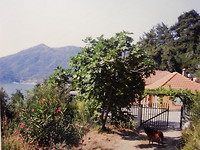 Ons huis " Close to Heaven " !