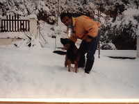 Sneeuw in de winter!