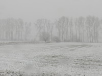 Langs de snelweg!