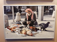 Fotoexpositie Aleppo!