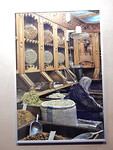 Fotoexpositie Aleppo!