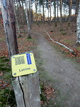 Paadje richting latrine!