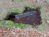 Latrine!
