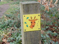 Natuurbelevingsroute Mastbos!