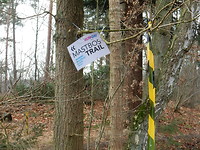 De Mastbos trail!