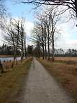 De Mastenlaan!