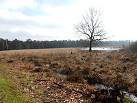 Galderse Heide!