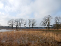 Galderse Heide!