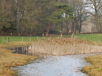 Vennetje!