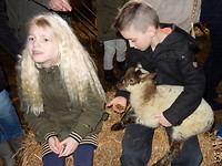Knuffelen met een lammetje!