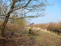 Nieuw begin!