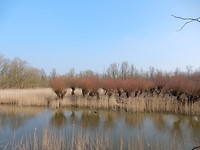 Mooie kleuren!
