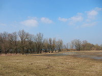 Waterplassen!