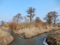 Mooi!