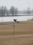Vogelverschrikker!