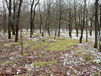 Nog steeds winter!